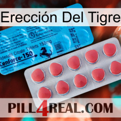 Erección Del Tigre new14